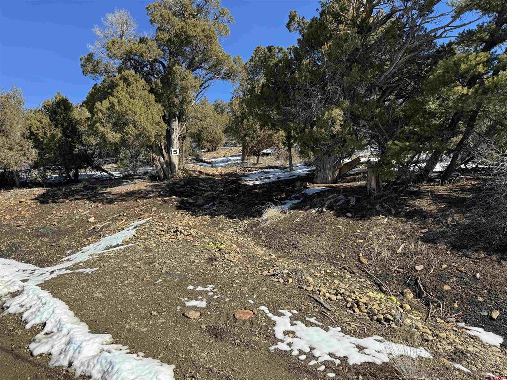 Tbd Road 41.4 Mancos CO 81328