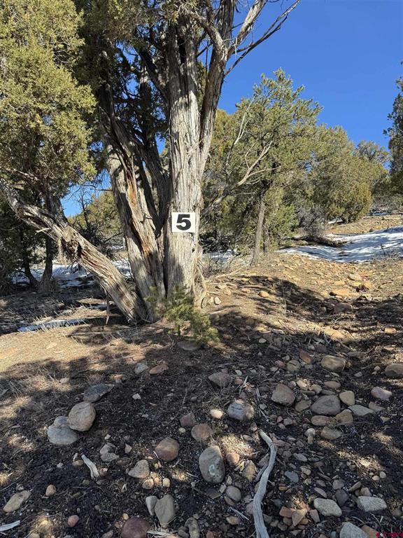 Tbd Road 41.4 Mancos CO 81328