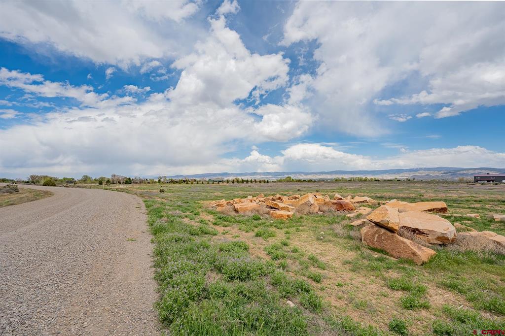 Lot 3 6300 Road Montrose CO 81403