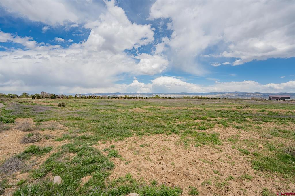 Lot 3 6300 Road Montrose CO 81403