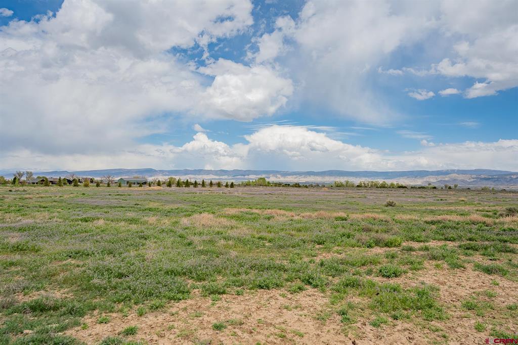 Lot 3 6300 Road Montrose CO 81403
