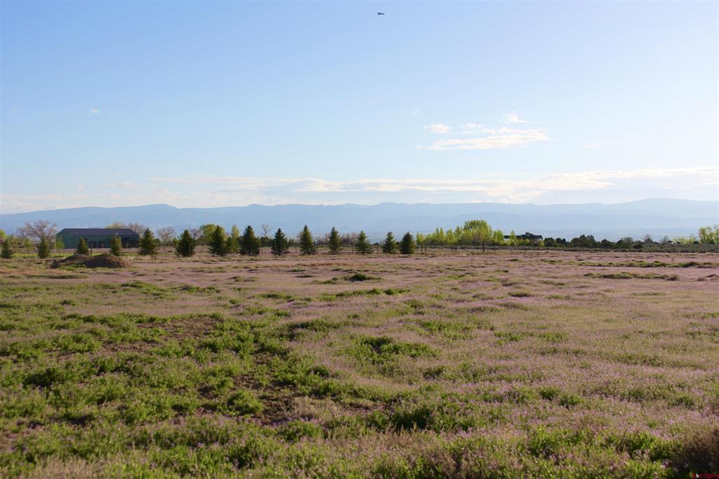 Lot 3 6300 Road Montrose CO 81403
