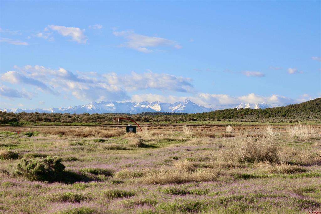 Lot 3 6300 Road Montrose CO 81403