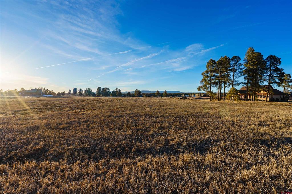49 Capstone Circle Pagosa Springs CO 81147