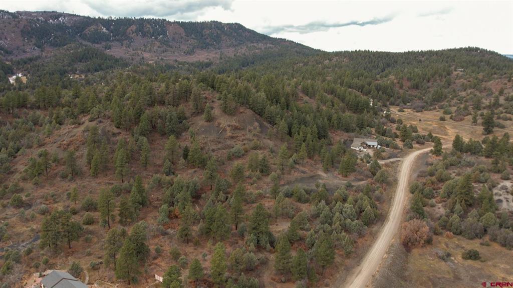 1433 Harvard Avenue Pagosa Springs CO 81147