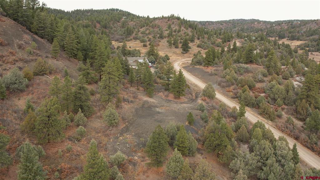 1433 Harvard Avenue Pagosa Springs CO 81147