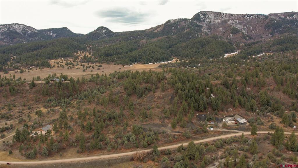 1433 Harvard Avenue Pagosa Springs CO 81147