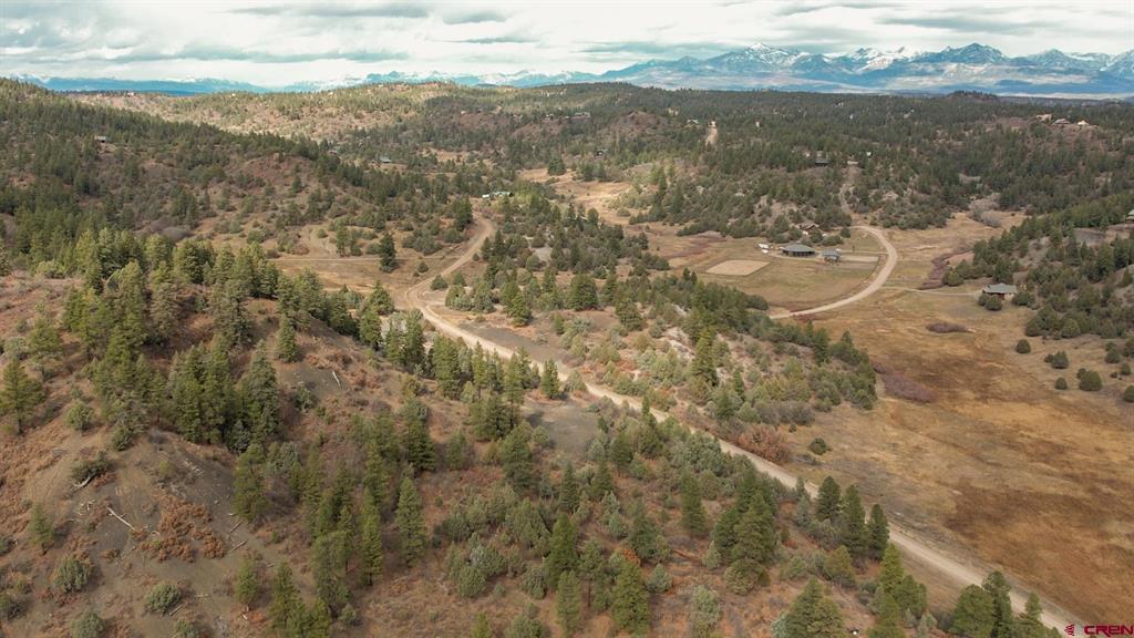 1433 Harvard Avenue Pagosa Springs CO 81147