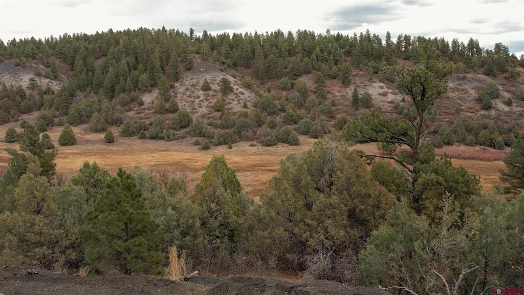 1433 Harvard Avenue Pagosa Springs CO 81147