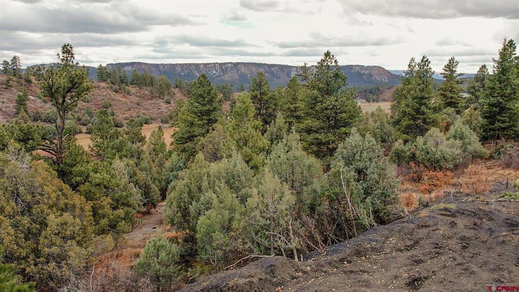 1433 Harvard Avenue Pagosa Springs CO 81147