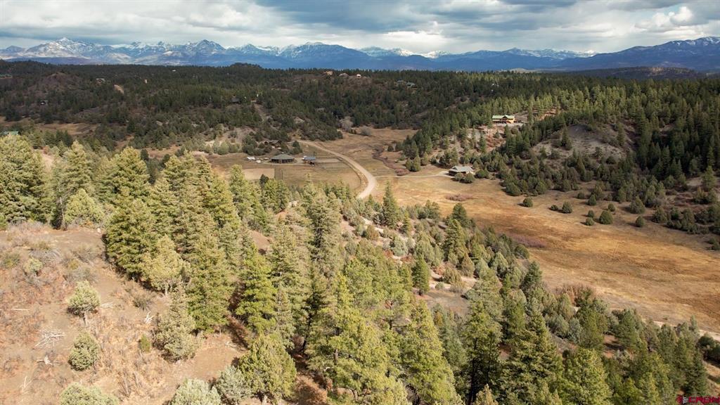 1433 Harvard Avenue Pagosa Springs CO 81147