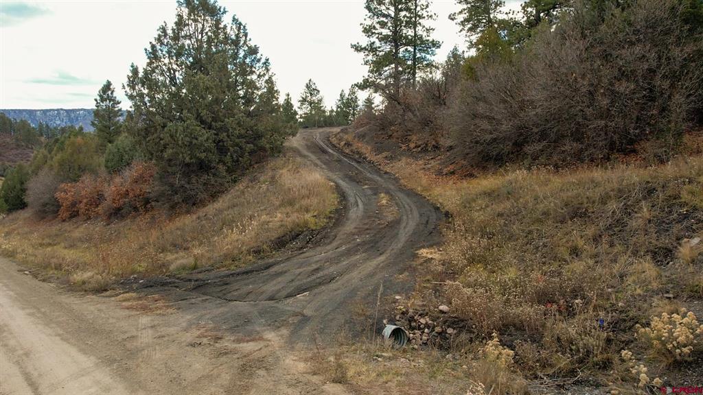 1433 Harvard Avenue Pagosa Springs CO 81147