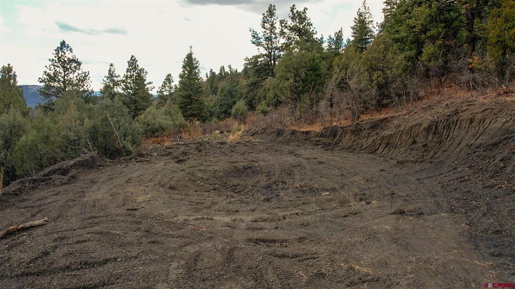 1433 Harvard Avenue Pagosa Springs CO 81147