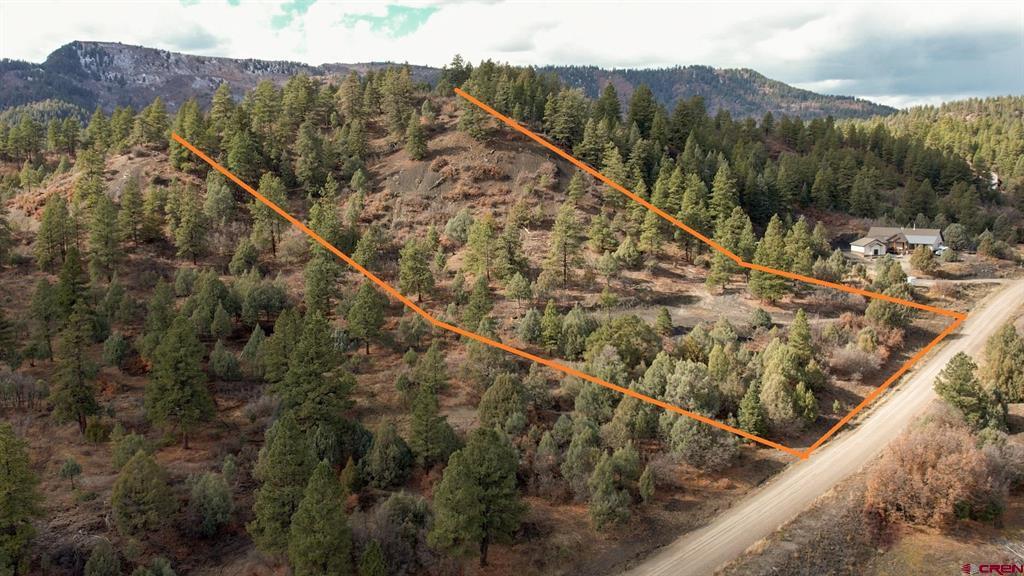 1433 Harvard Avenue Pagosa Springs CO 81147