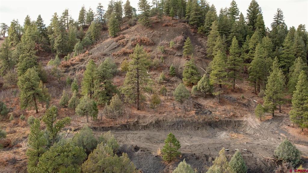 1433 Harvard Avenue Pagosa Springs CO 81147