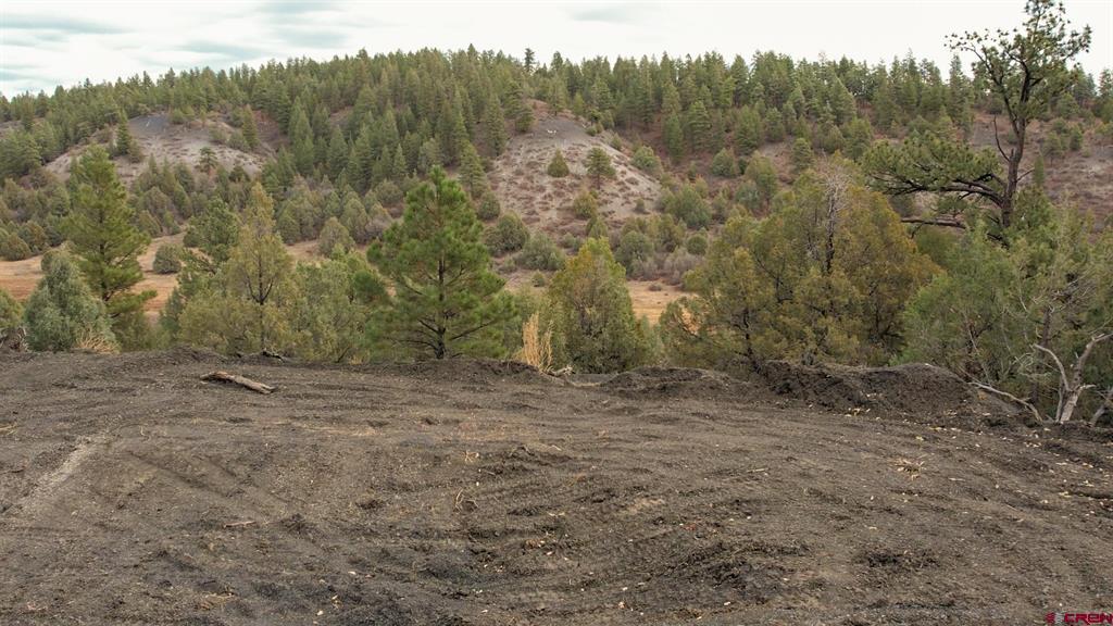 1433 Harvard Avenue Pagosa Springs CO 81147