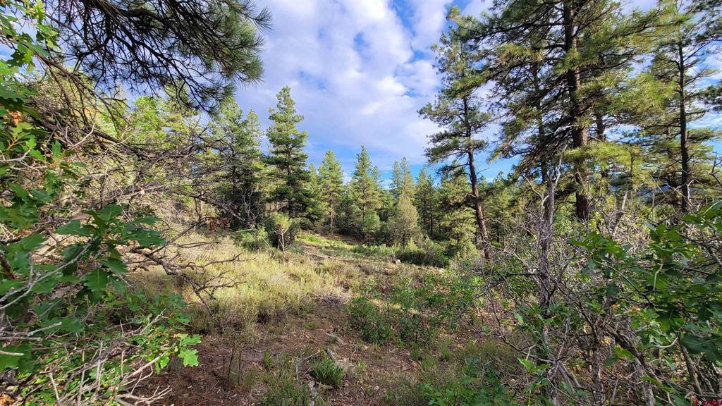 814 Ginger Circle Pagosa Springs CO 81147