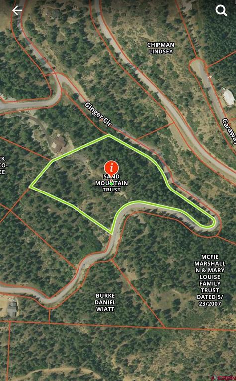 814 Ginger Circle Pagosa Springs CO 81147