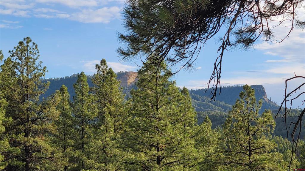 814 Ginger Circle Pagosa Springs CO 81147