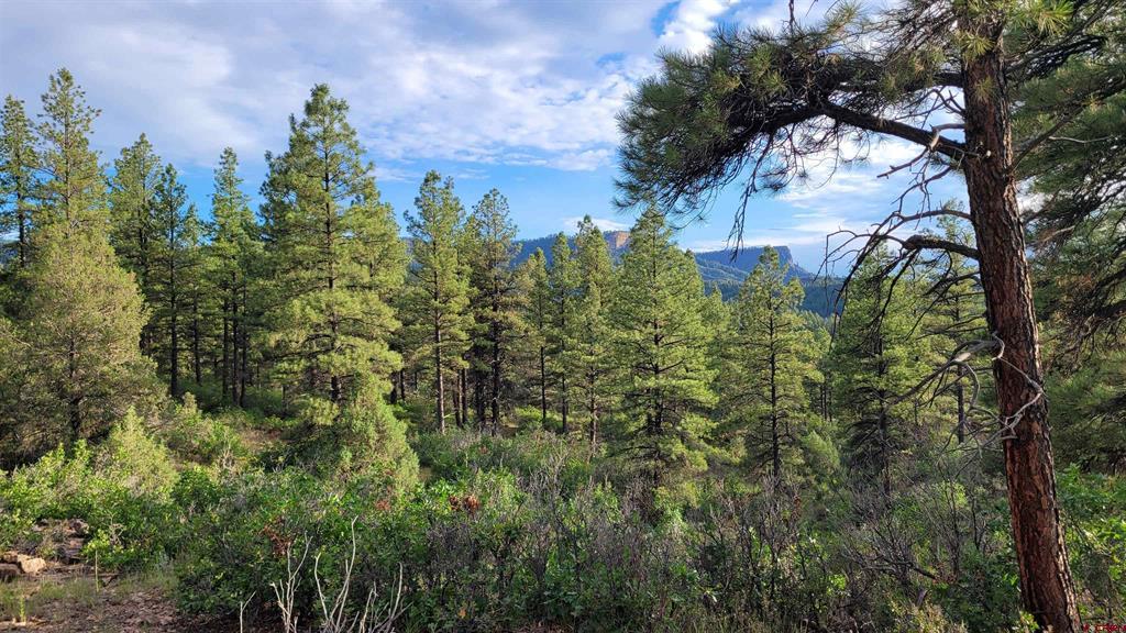 814 Ginger Circle Pagosa Springs CO 81147