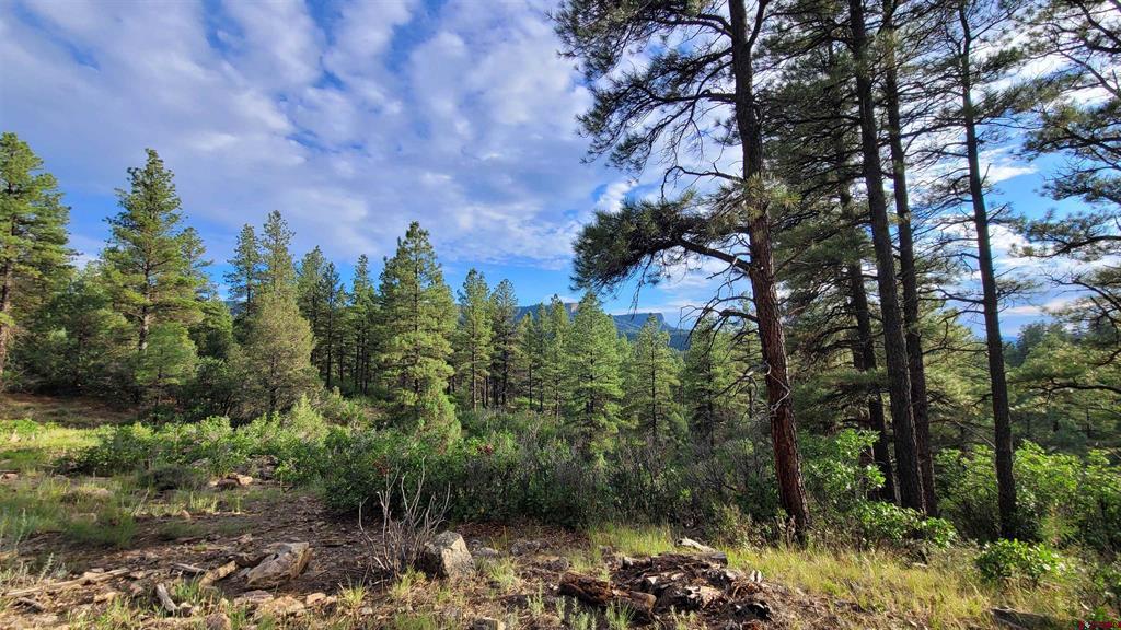 814 Ginger Circle Pagosa Springs CO 81147