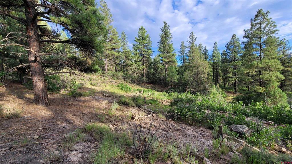 814 Ginger Circle Pagosa Springs CO 81147