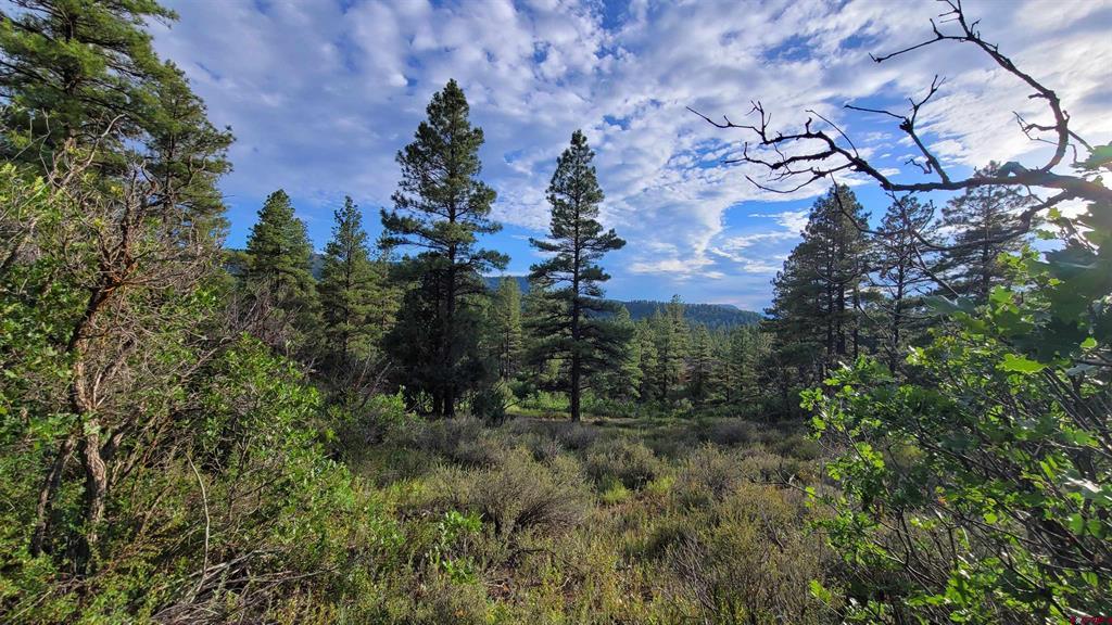 814 Ginger Circle Pagosa Springs CO 81147