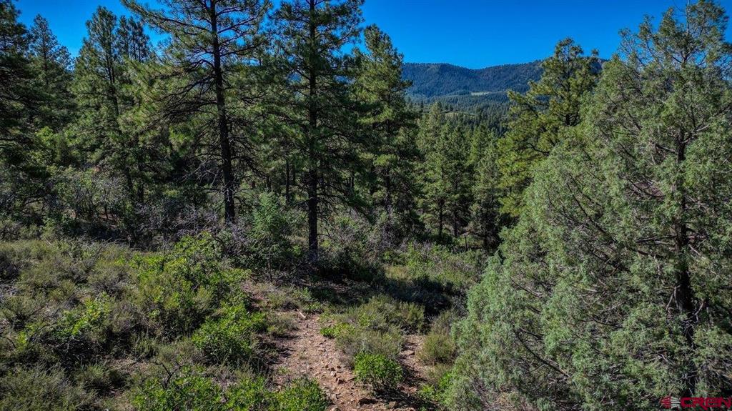 814 Ginger Circle Pagosa Springs CO 81147