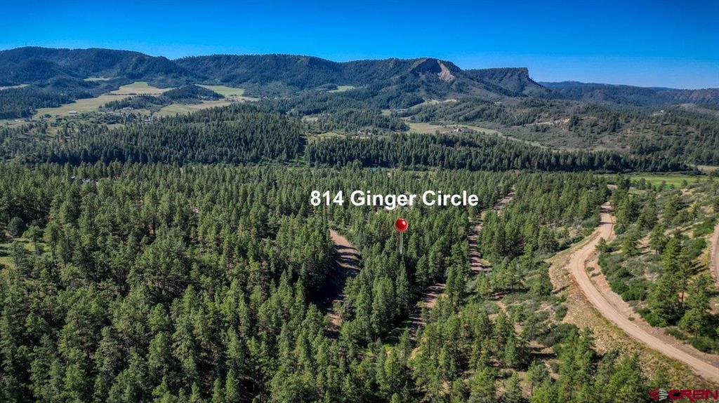 814 Ginger Circle Pagosa Springs CO 81147