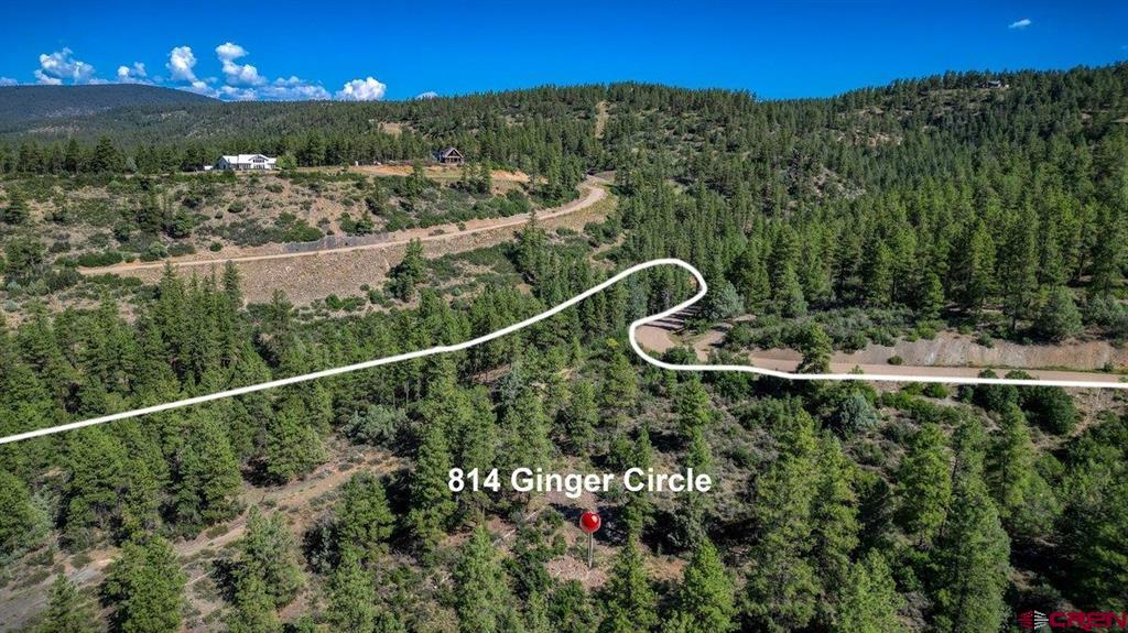 814 Ginger Circle Pagosa Springs CO 81147