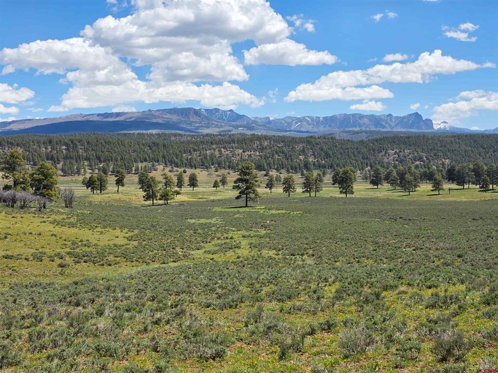 109 Hemlock Pagosa Springs CO 81147