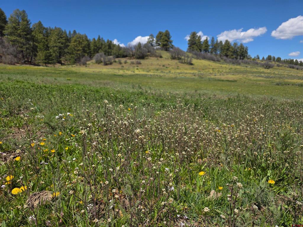 109 Hemlock Pagosa Springs CO 81147