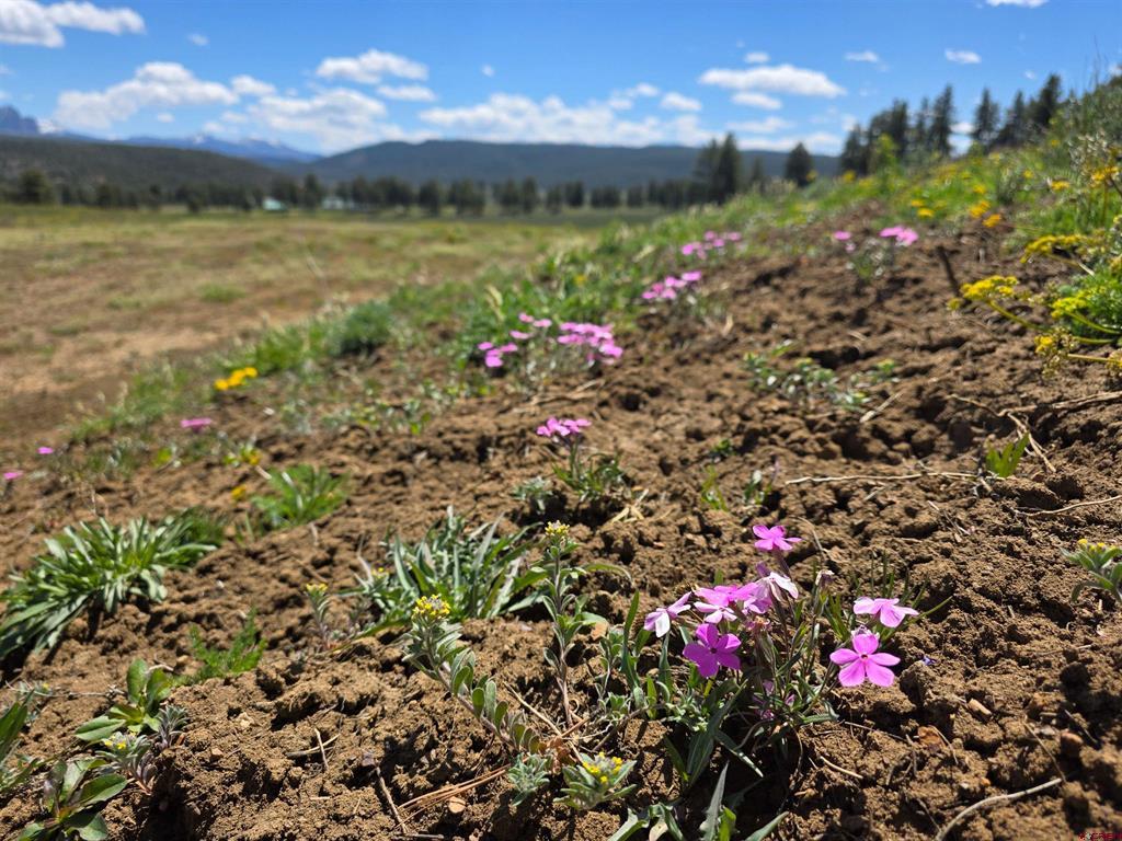 109 Hemlock Pagosa Springs CO 81147