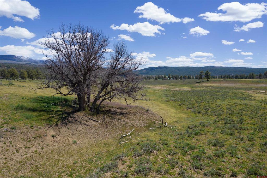 109 Hemlock Pagosa Springs CO 81147