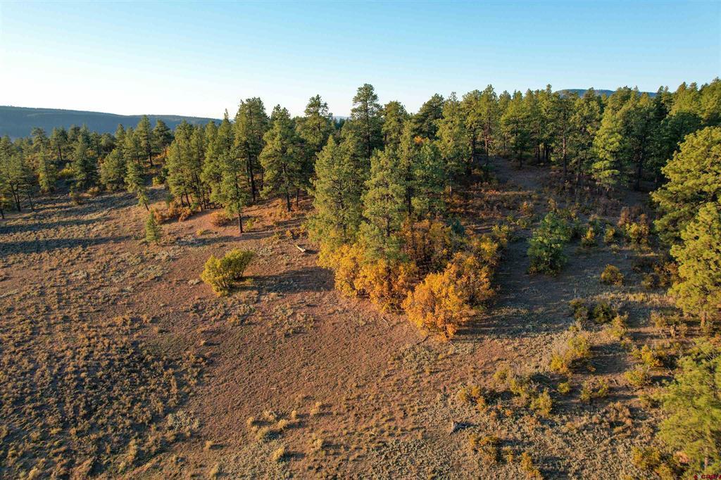 109 Hemlock Pagosa Springs CO 81147