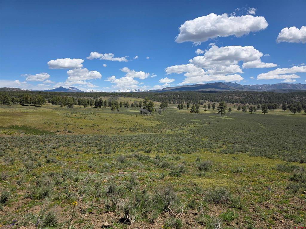 109 Hemlock Pagosa Springs CO 81147