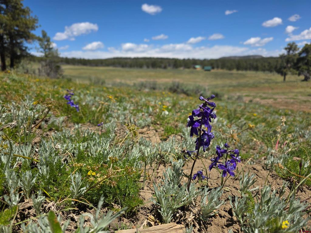 109 Hemlock Pagosa Springs CO 81147