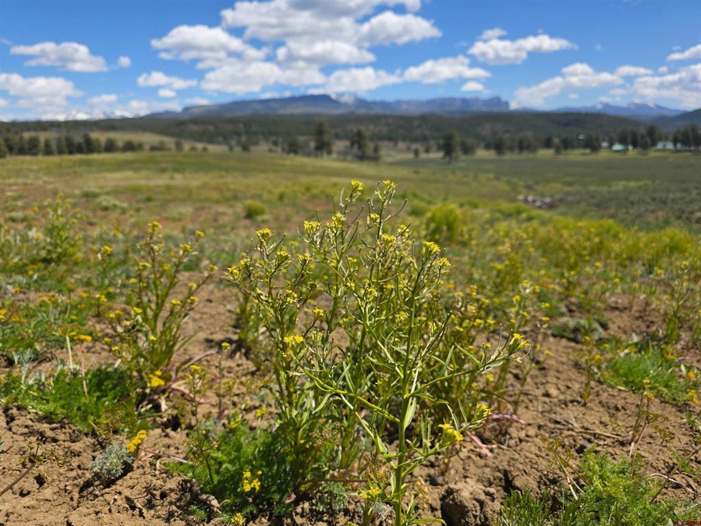 109 Hemlock Pagosa Springs CO 81147