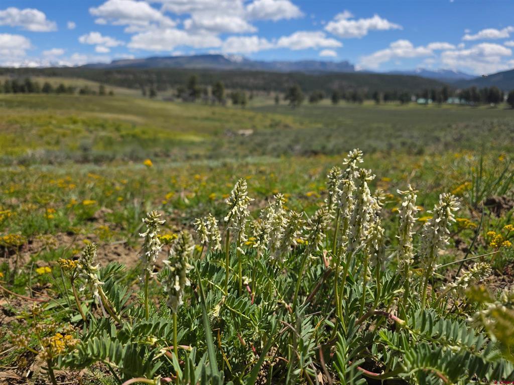 109 Hemlock Pagosa Springs CO 81147