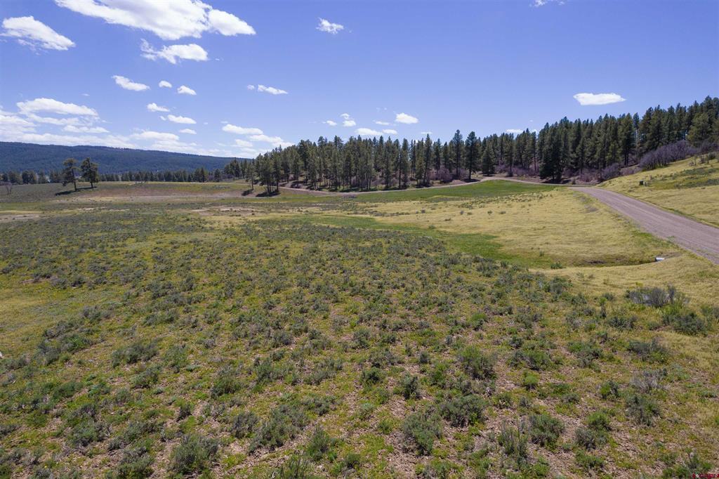 109 Hemlock Pagosa Springs CO 81147