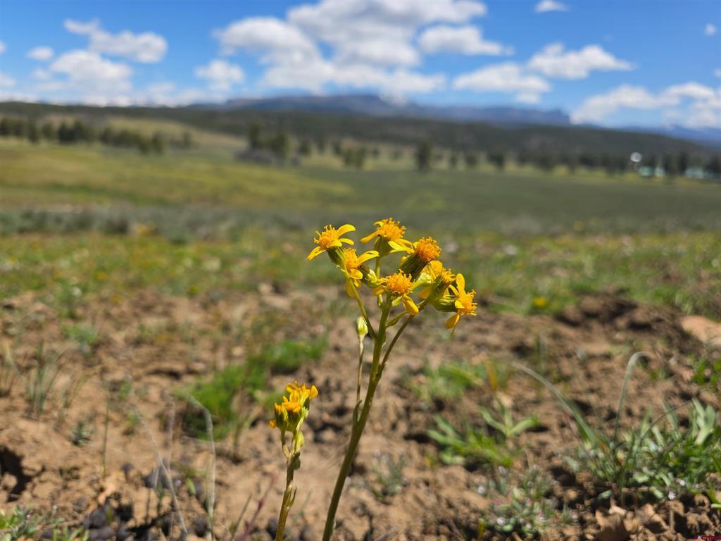 109 Hemlock Pagosa Springs CO 81147