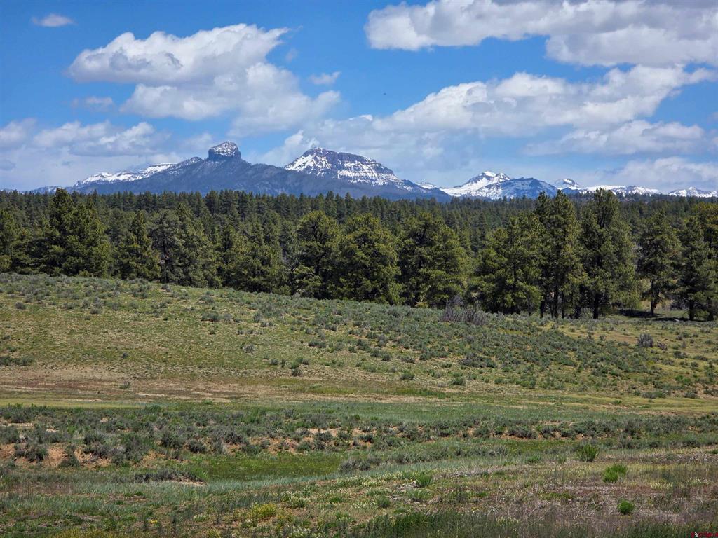 109 Hemlock Pagosa Springs CO 81147