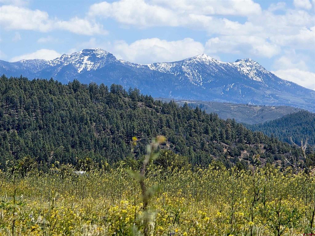 109 Hemlock Pagosa Springs CO 81147