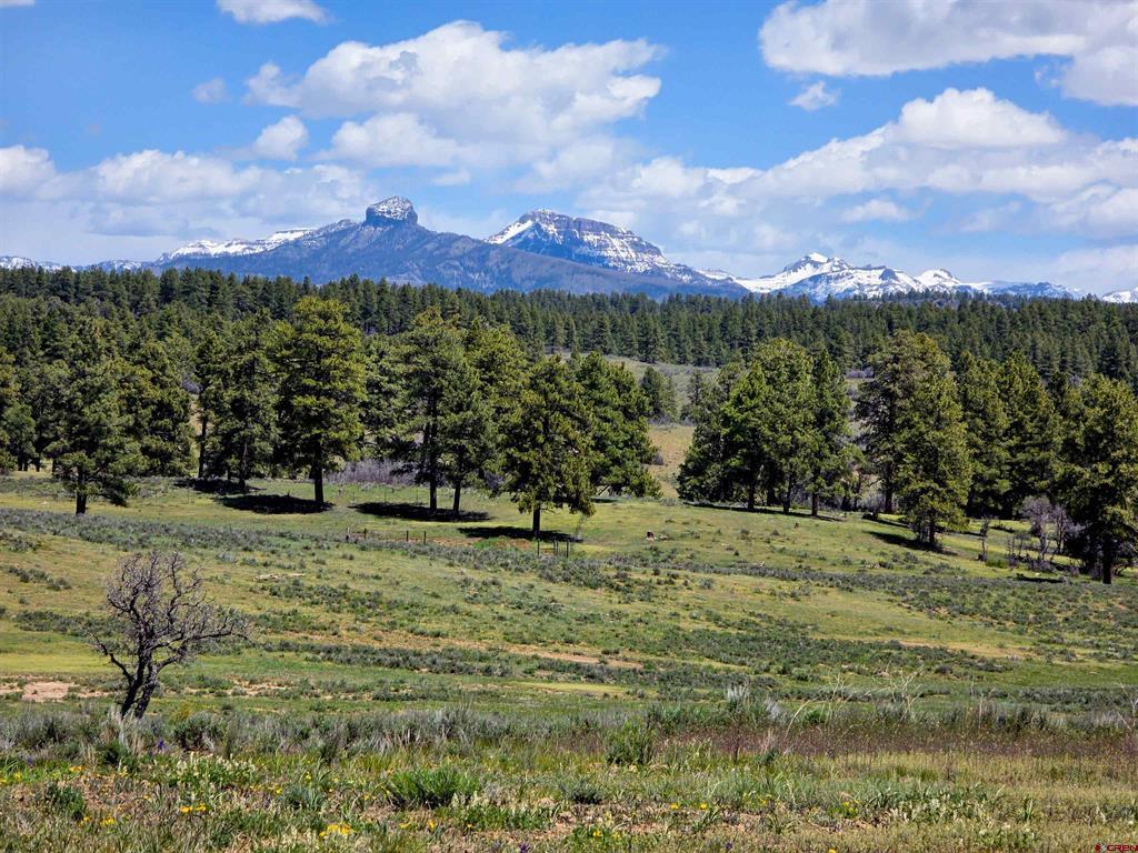 109 Hemlock Pagosa Springs CO 81147