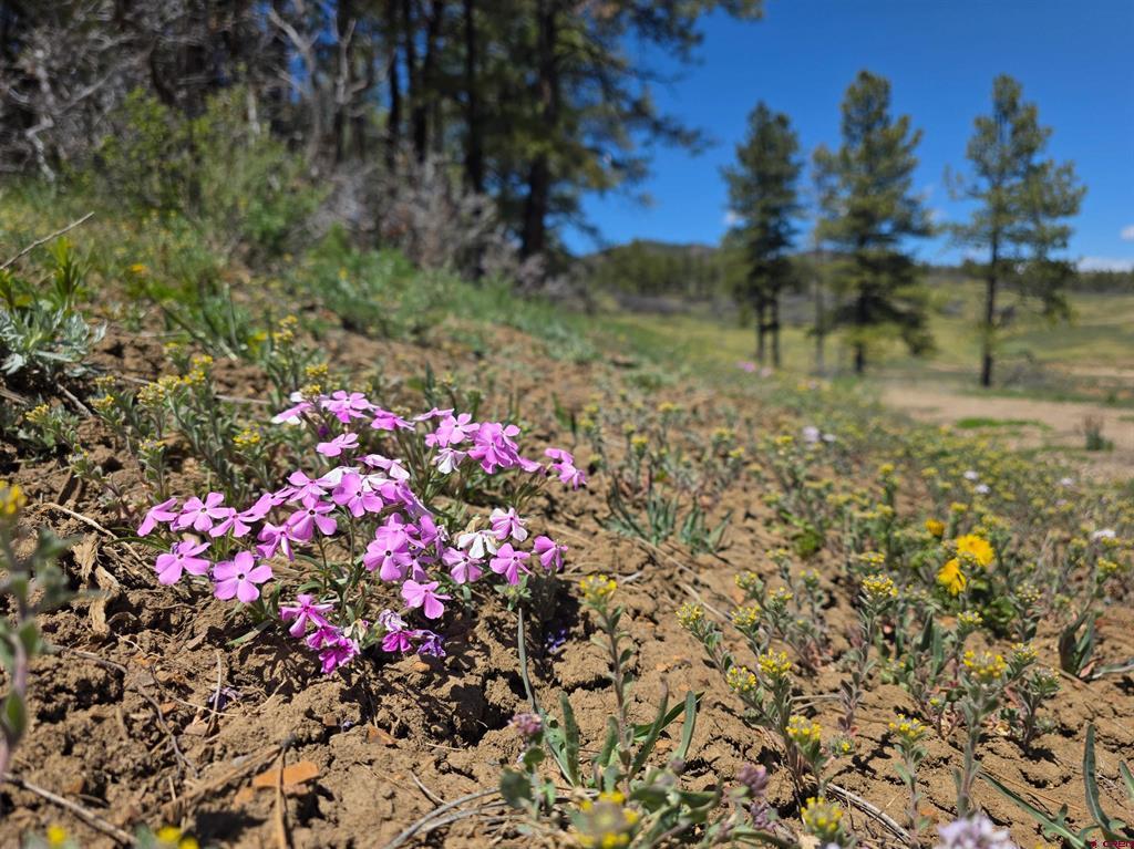 109 Hemlock Pagosa Springs CO 81147