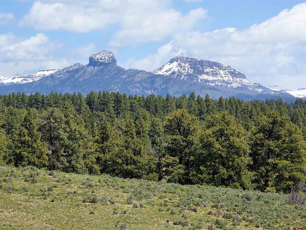 109 Hemlock Pagosa Springs CO 81147