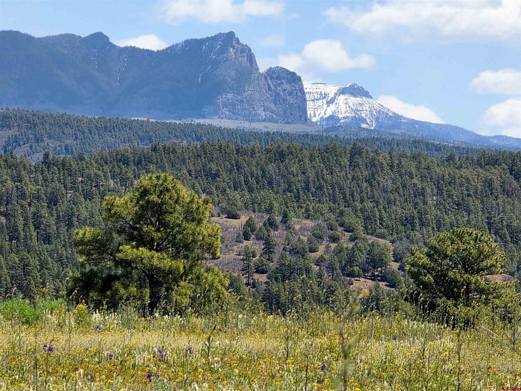 109 Hemlock Pagosa Springs CO 81147