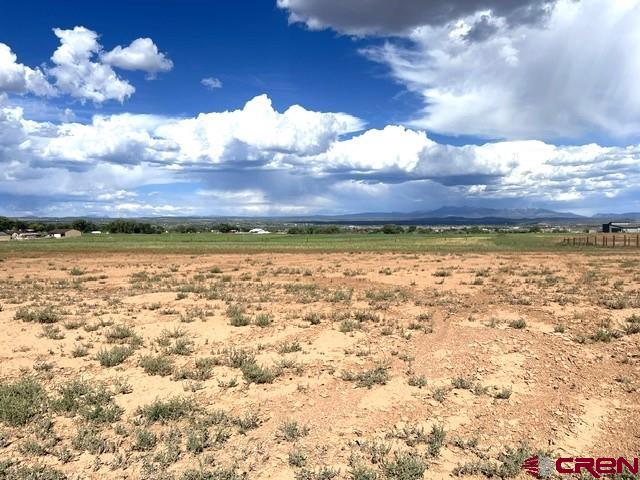 Tbd Road 23.5 Cortez CO 81321