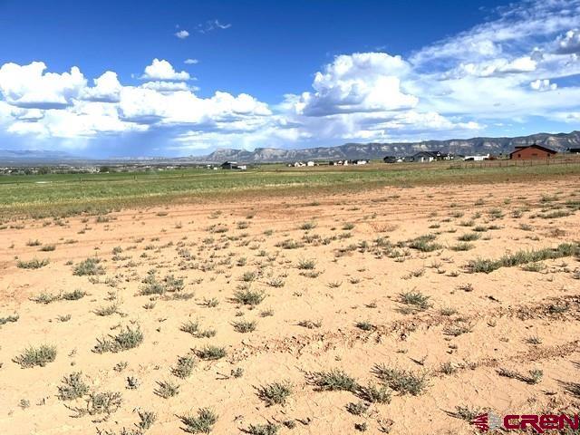 Tbd Road 23.5 Cortez CO 81321