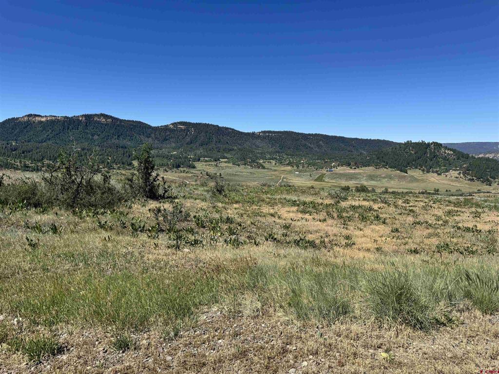 764 Irwins Place Chromo CO 81128